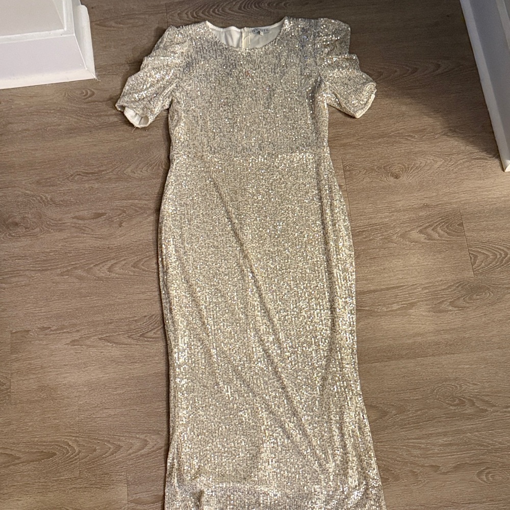 Ivy City Co Silver Sequin Dress